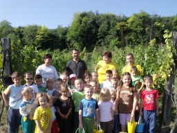ovipfalu_15_20180901
